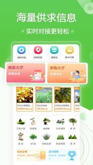 苗木通  v5.10.10图1