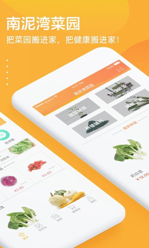 都市南泥湾  v1.1.7图1