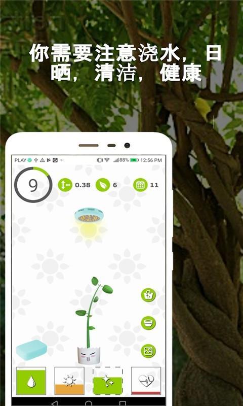 幸运树  v3.9图1