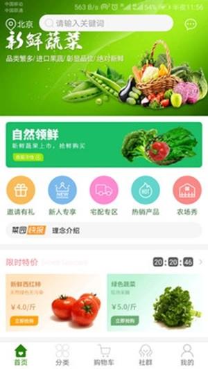 北菜园  v1.0.13图2