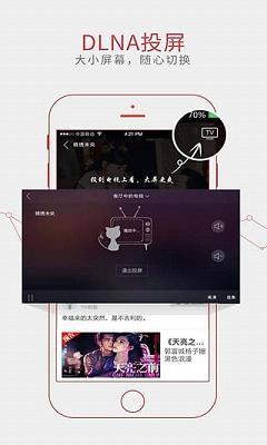 龙霸网络电视  v8.0图3