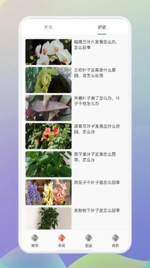 幸福养花场