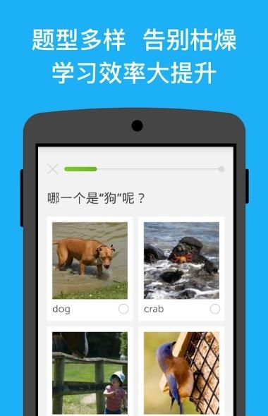 多邻国duolingo  v5.70.4图3