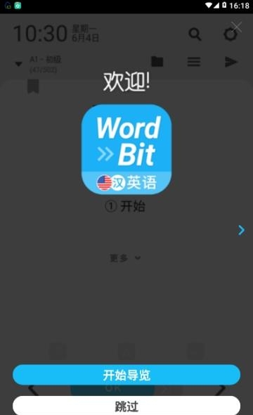 WordBit英语中文版