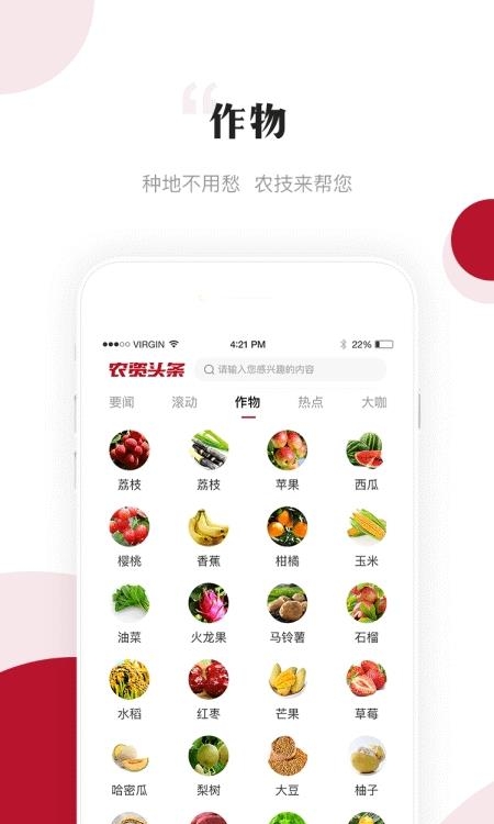 农资头条