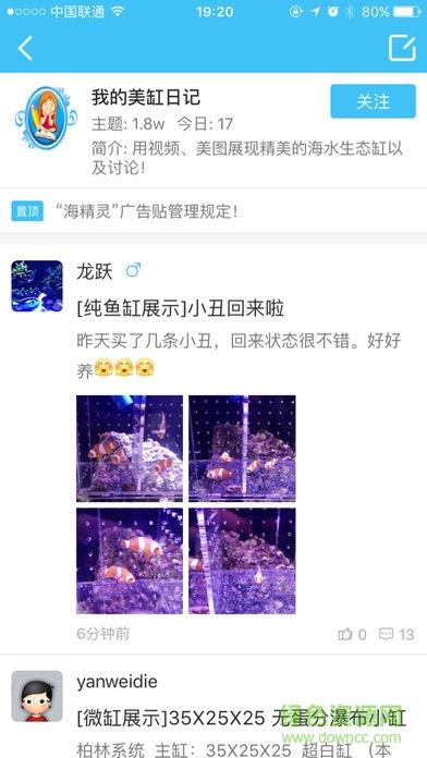 海精灵论坛