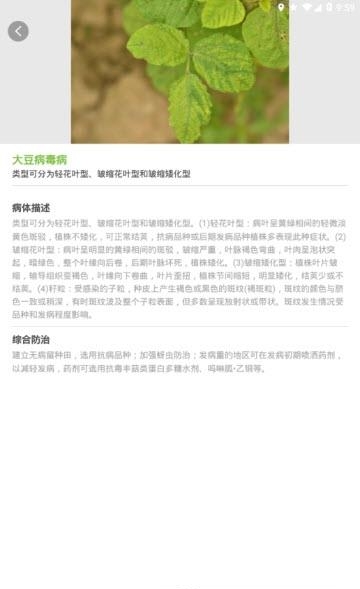 随识  v1.1.3图2