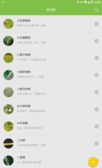 随识