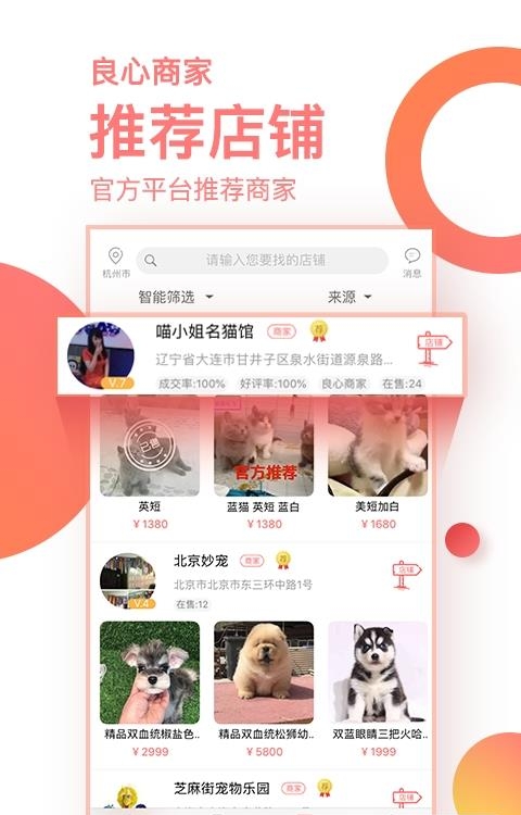 淘宠网