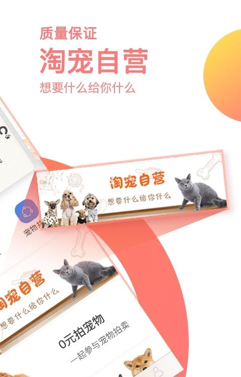 淘宠网  v3.4.1图2
