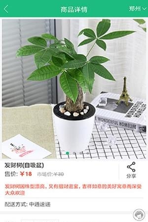 花总管