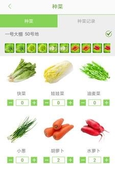 村小爱