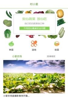 村小爱  v1.0图3