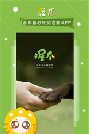 握爪宠物