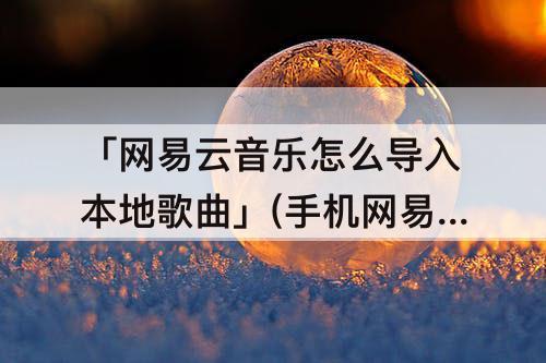 「网易云音乐怎么导入本地歌曲」(手机网易云音乐怎么导入本地歌曲)