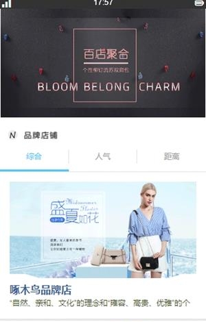 雅包包  v3.1图1
