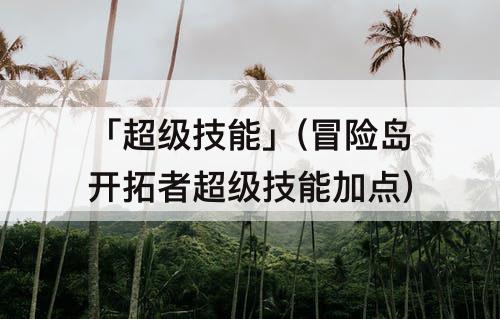 「超级技能」(冒险岛开拓者超级技能加点)