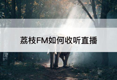 荔枝FM如何收听直播