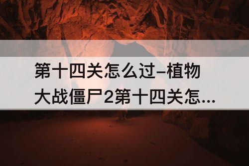 第十四关怎么过-植物大战僵尸2第十四关怎么过
