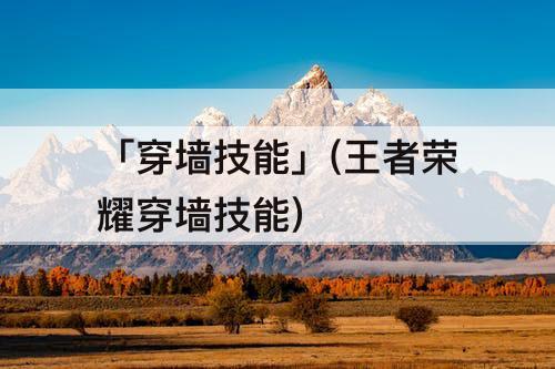 「穿墙技能」(王者荣耀穿墙技能)
