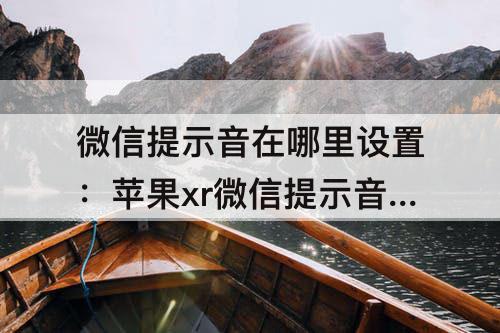 微信提示音在哪里设置：苹果xr微信提示音在哪里设置
