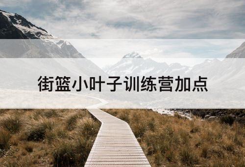 街篮小叶子训练营加点