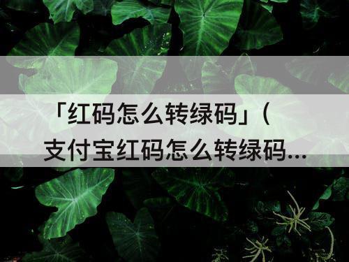 「红码怎么转绿码」(支付宝红码怎么转绿码)