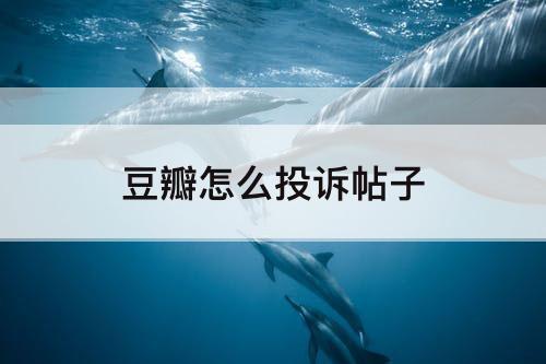 豆瓣怎么投诉帖子