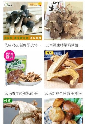 楚雄网