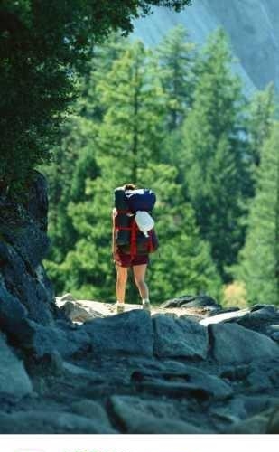大树旅行  v1.0图1