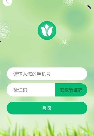 蔬菜科普展厅  v1.0图1