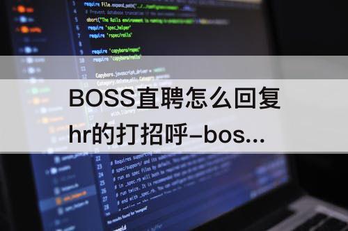 BOSS直聘怎么回复hr的打招呼-boss直聘怎么回复hr的打招呼贴吧