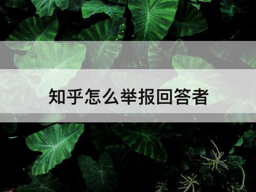 知乎怎么举报回答者