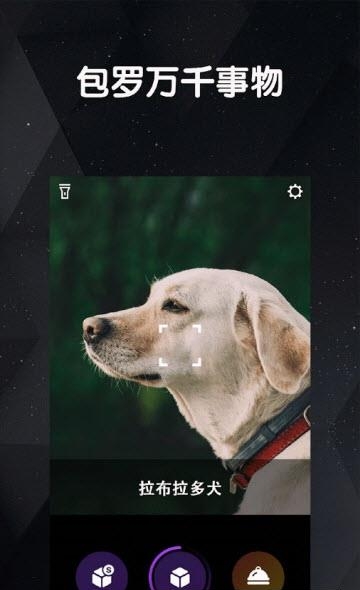看道