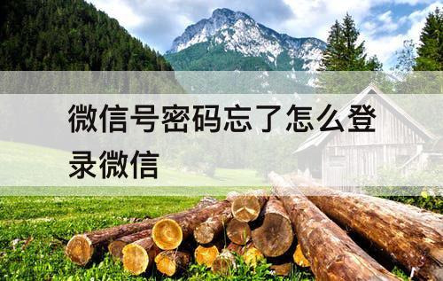微信号密码忘了怎么登录微信