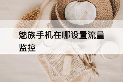 魅族手机在哪设置流量监控