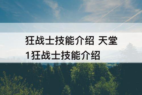 狂战士技能介绍 天堂1狂战士技能介绍