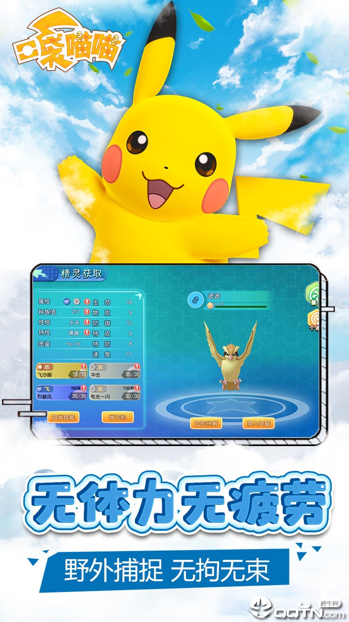 口袋喵喵果盘版  v1.1.1图1