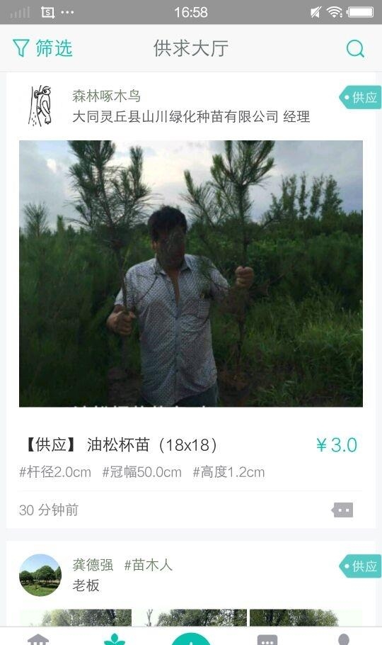 宜良苗木