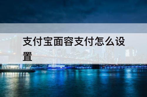 支付宝面容支付怎么设置