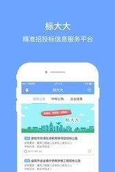 标大大