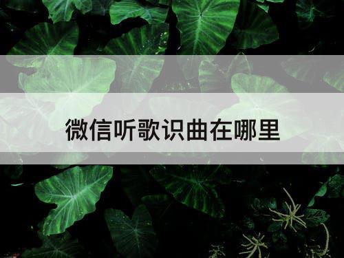 微信听歌识曲在哪里