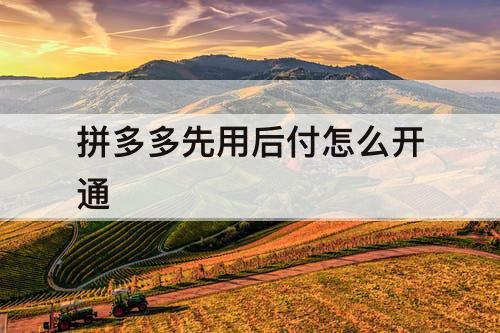 拼多多先用后付怎么开通