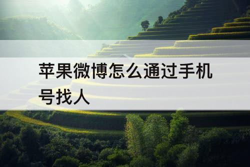 苹果微博怎么通过手机号找人