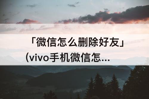 「微信怎么删除好友」(vivo手机微信怎么删除好友最快)