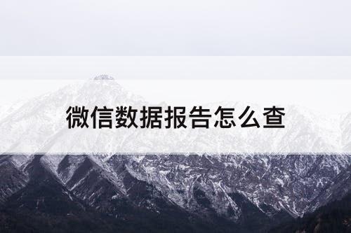 微信数据报告怎么查