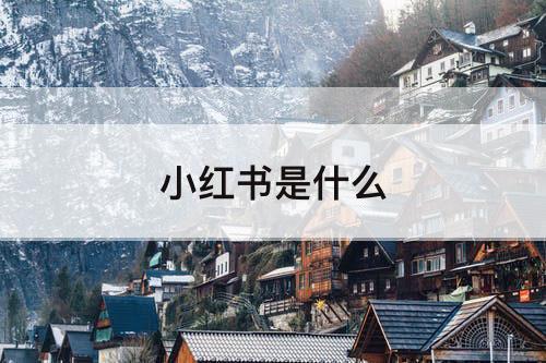 小红书是什么