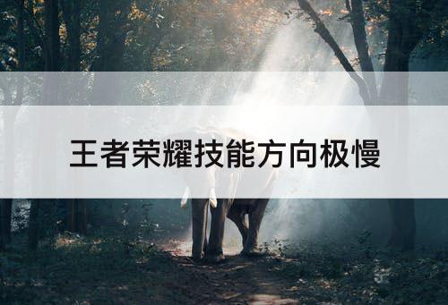 王者荣耀技能方向极慢
