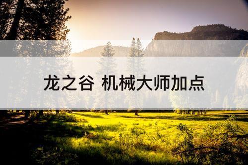 龙之谷 机械大师加点