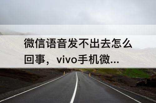 微信语音发不出去怎么回事，vivo手机微信语音发不出去怎么回事
